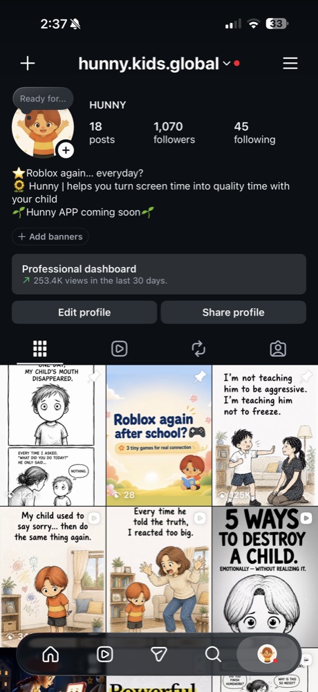 Archived Instagram account showing 1,070 followers and 253.4 thousand views in 30 days